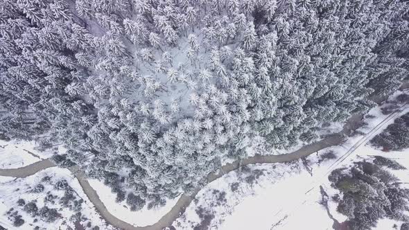 Flight Over Winter Forest
