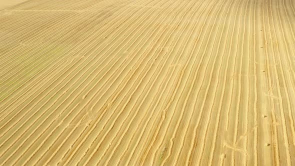 Aerial View Of Summer Hay Straw Field Landscape In Evening