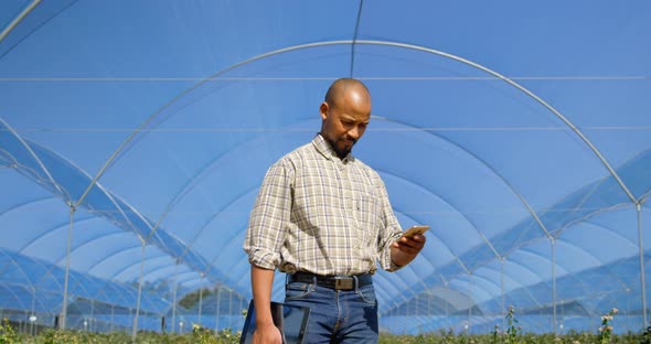 Man using mobile phone in blueberry farm 4k