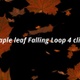 Maple Leaf Falling - VideoHive Item for Sale