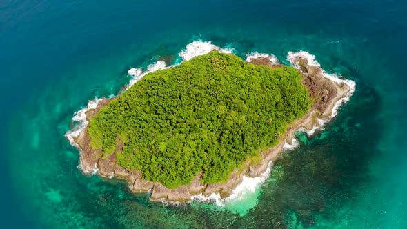 Tropical Island on Coral Reef Top View