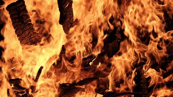 Big Bonfire Burns at Night in Slow Motion on a Black Background