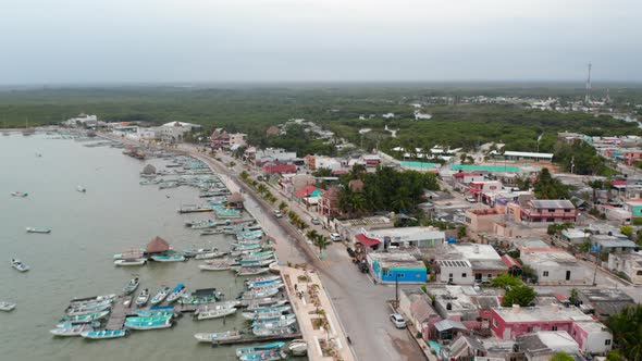 Aerial View of Rural Coastal Town Surrounded By Vast Forest