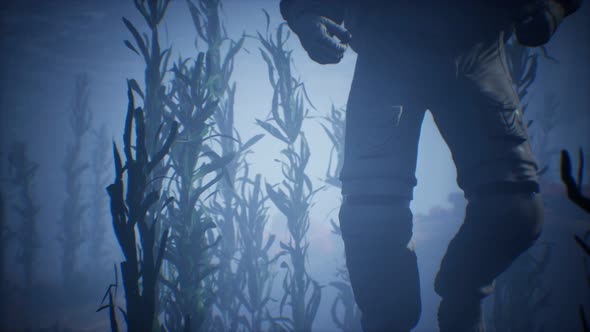 Spaceman Astronaut in the Sea alt