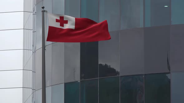 Tonga Flag Background 4K