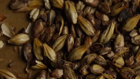 Rotating shot of barley and other beer brewing ingredients - BEER BREWING 078