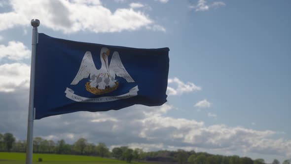 Louisiana Flag on a Flagpole Waving in the Wind in the Sky