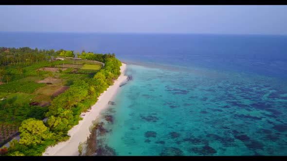 Aerial texture of luxury tourist beach wildlife by shallow sea and white sand background of a daytri