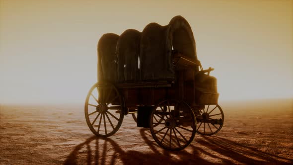 Canvas Covered Retro Wagon in Desert at Sunset