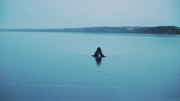 Scary figure in black mantle. Horror woman soaking in water river.