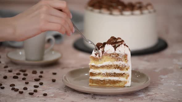 A Piece Of Tiramisu Cake On A Plate