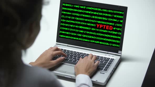 Data Encrypted on Laptop Computer, Woman Working in Office, Cybercrime, Close Up