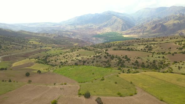 A beautiful view, Wheat fields, wild trees, rural areas, Cool and fresh air, a day full of peace.