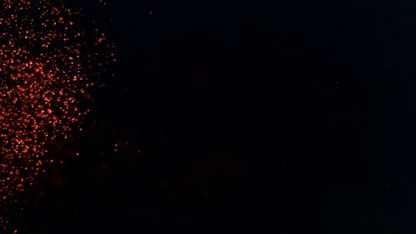 Orange Particle Background