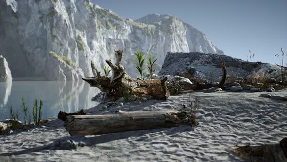 White Sand Beach Near Rocky Cliffs at Ocean