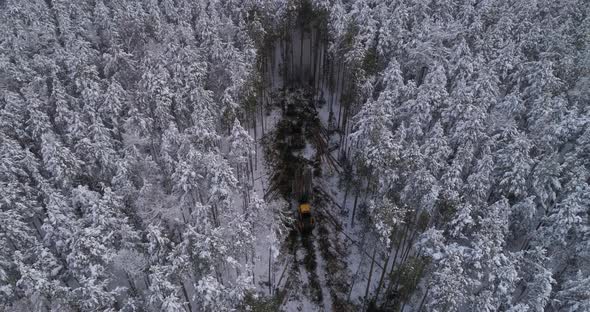 Aerial view of Forest harvester and forwarder at work into the winter forest 36