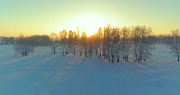Aerial Drone View of Cold Winter Landscape with Arctic Field, Trees Covered with Frost Snow 