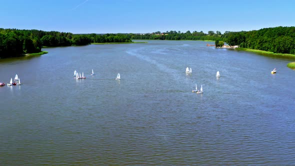 Aerial view of regatta of white boats on lake