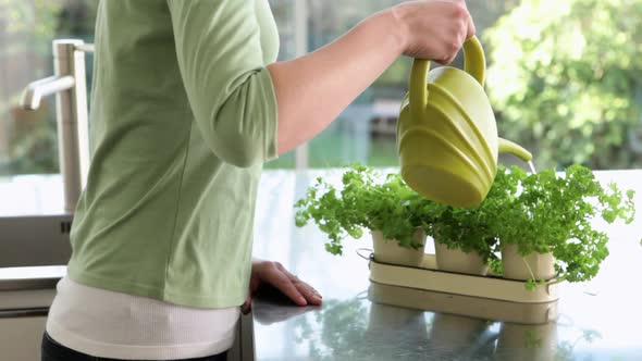 Woman watering indoor herb plants