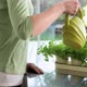 Woman watering indoor herb plants - VideoHive Item for Sale