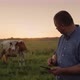 Senior Farmer Works in a Pasture Uses a Tablet - VideoHive Item for Sale