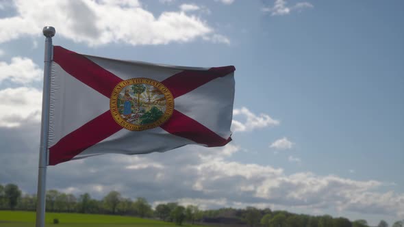 Florida Flag on a Flagpole Waving in the Wind in the Sky
