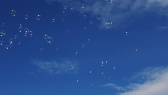 Soap Bubbles Against the Blue Sky