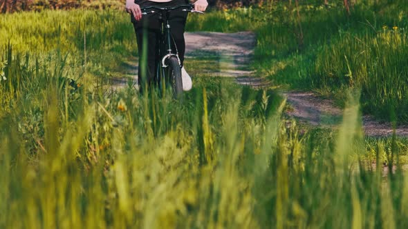 Woman on Bicycle Rides Along Forest Path in a Green Area on a Sunny Summer Day