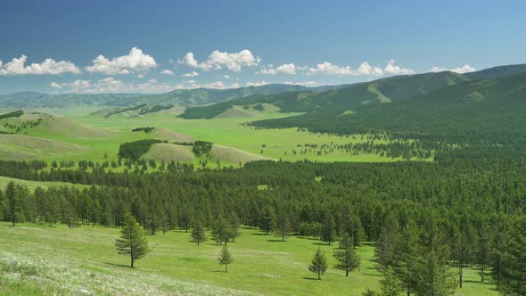 Green Meadows in The Sparsely Wooded Between Forest Covered Hills