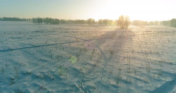 Aerial Drone View of Cold Winter Landscape with Arctic Field Trees Covered with Frost Snow and