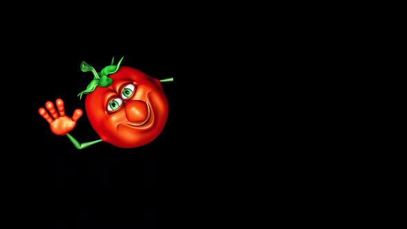 Tomato Promotion Ads  Looped Animation with Alpha Channel and Shadow alt
