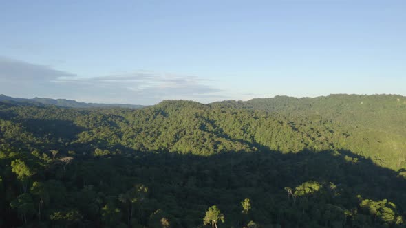 Aerial view over a tropical forest in Ecuador