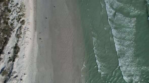 top down aerial kite surfer at big bay beach in cape town South Africa