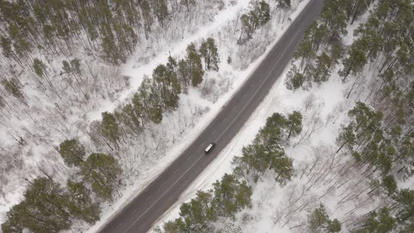 Traffic Road Near The Winter Forest