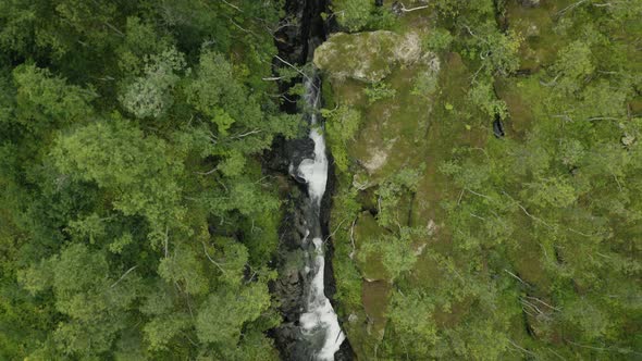 Top down view of  mountain with rapids surrounded by forest. Shot in Norway.