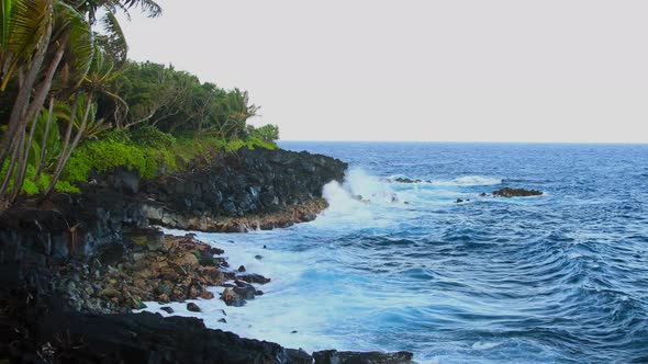 Shoreline Of Hawaii