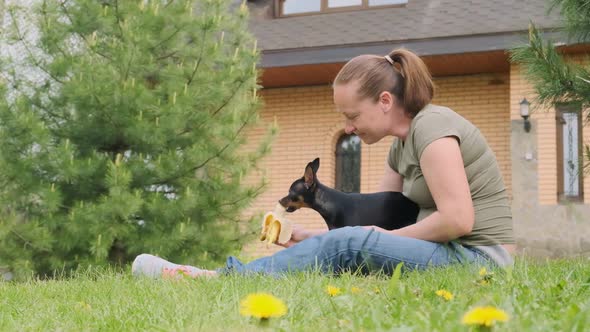 woman feeds dog on green lawn