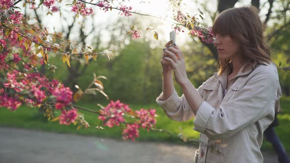 Young Attractive Redhaired Woman Taking Photos of Spring Flowers of Cherry or Sakura Blossoms on