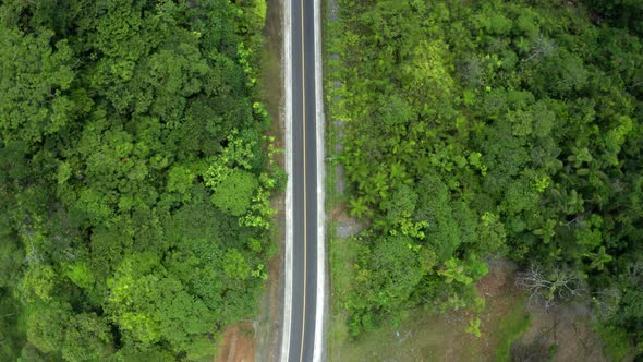 Aerial top down view, following a black road with a yellow line from above