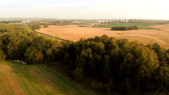 Fields in sunset light