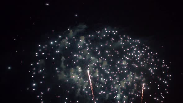 Colorful Firework display at night on sky background