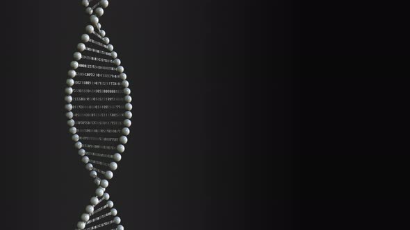 Digital DNA Molecule Model with Numbers alt