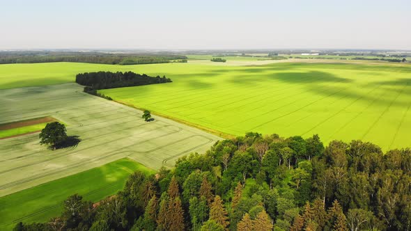 Static View Lithuania Countryside Panorama