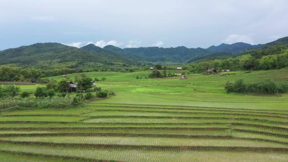 Aerial View Of Rice Field Terrace