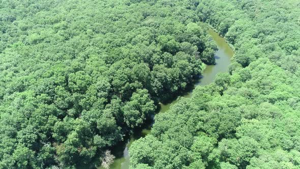 4K Aerial view of river and beautiful wild forest.