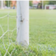 Soccer Ball Hits Goal Post 20