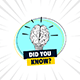 General Knowledge Quiz Application - CodeCanyon Item for Sale