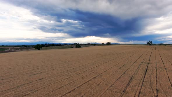 Purple mountains and a golden wheat field under an ominous sky.