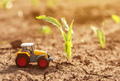 Die-cast toy model of agricultural tractor in cultivated corn sprout field - PhotoDune Item for Sale