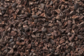 Cacao nibs close up full frame - PhotoDune Item for Sale